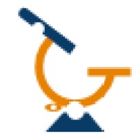 Digit Zerone logo - Similar company to Wellink