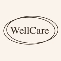 WellCare logo - Similar company to Cloudedz