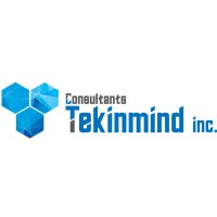 Consultants Tekinmind