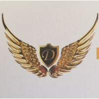 Dhillon Aviation - India logo - Similar company to Silverjet