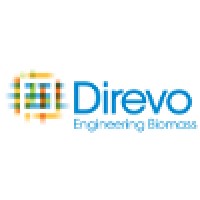 Direvo Industrial Biotechnology Gmbh