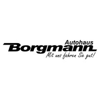 Borgmann GmbH logo - Similar company to Wilhelm Karmann Gmbh