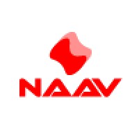 Naav international logo - Similar company to Evergreen Import & Export