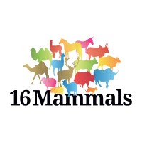 16 Mammals retail design logo - Similar company to Heart(Work)Space
