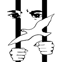 Asyl in Not logo - Similar company to Leave No One Behind