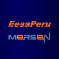 EESAPERU logo - Similar company to Techvalue
