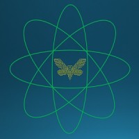 Cicada Tech Solutions LLC logo - Similar company to Span Outsourcing Pvt Ltd.,