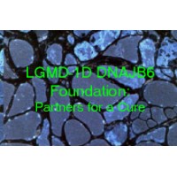 LGMD-1D DNAJB6 Foundation and Registry logo - Similar company to Lgmd Awareness Foundation, Inc.