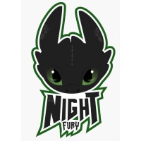Night Fury logo - Similar company to Bbg Engineering Cc
