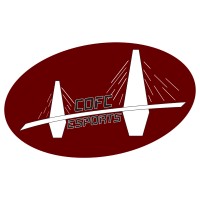 College of Charleston Esports logo - Similar company to Premier Sim Gaming Leagues Ltd.