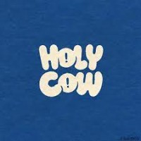 Holy Cow - Product Visuals logo - Similar company to Indiehouse