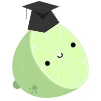 LLeMon logo - Similar company to Stratosoft.co
