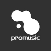 Promusic logo - Similar company to Audiosystems