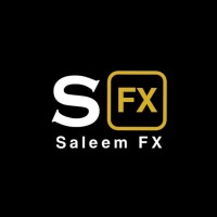 Saleem FX logo - Similar company to Global Language Network
