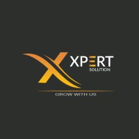 The Xpert Solution logo - Similar company to Ad Masters Pro