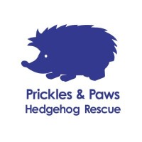Prickles and Paws Hedgehog Rescue logo - Similar company to Diversity To Thrive