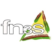 Fn3s logo - Similar company to Trajectoires Reflex