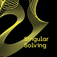 Singular Solving logo - Similar company to The Upper Loop