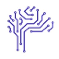 DIGITAL RAIN logo - Similar company to Celeriti Group