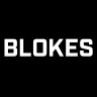 BLOKES IT logo - Similar company to Dvd-Ict