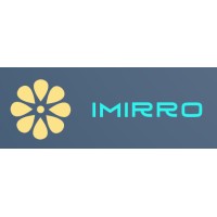 imirro logo - Similar company to Business Beyond Borders Development Consultants