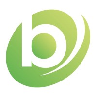 ByteStrype logo - Similar company to Wowvi Group