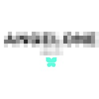 Angelone Health logo - Similar company to Everguard