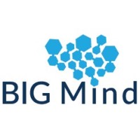 BIG Mind logo - Similar company to Bigmind - Business Consultants
