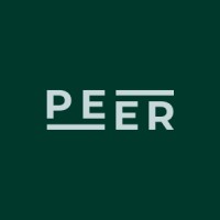 PEER - IT & Business Consulting logo - Similar company to Ki Business & Tech