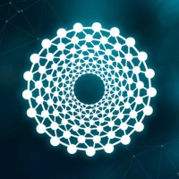 LAN Network logo - Similar company to Glue Network