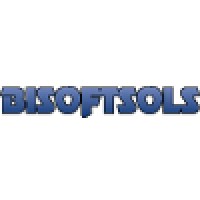 Bi Software Solutions