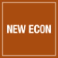 New Economics & Advisory