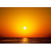 Sun Rise Foundation - India logo - Similar company to Pard India