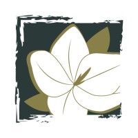Del Vacchio Landscapes & Christmas Decor logo - Similar company to Borsello Landscaping