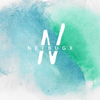 Netbugx logo - Similar company to Netbugs Solutions & Services Llp