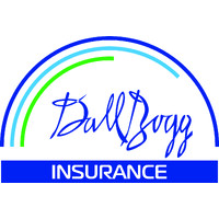 DallBogg Insurance logo - Similar company to Diodea Greece