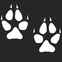 Primal Fitness Supplements logo - Similar company to Cravebooks
