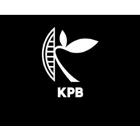 KPB logo - Similar company to Kpb Supports Solutions Pvt Ltd
