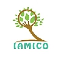 IAMICO Analysis Pvt Ltd logo - Similar company to Forexearlywarning.Com