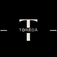 Toreda logo - Similar company to Bite.Ai