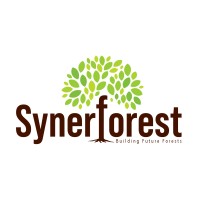 SynerForest logo - Similar company to Synergie Projectmanagement