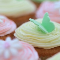 The Little Cupcake Company