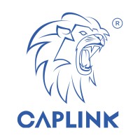 CAPLINK logo - Similar company to Kingspec