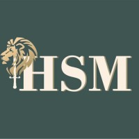 HSM Multi Ventures Pvt. Ltd. logo - Similar company to Vibe Solution Ltd.