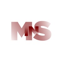 MSIN Group logo - Similar company to Ecp Tactical Opportunities Llc