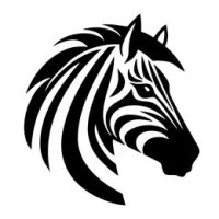 Singita Investments logo - Similar company to Top 5 Partners