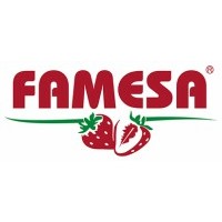 Famesa logo - Similar company to Simulator Center