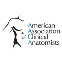 American Association of Clinical Anatomists logo - Similar company to Early Career Anatomists