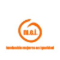 Fundación Mujeres en Igualdad logo - Similar company to Proyecto Mirar