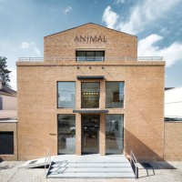 Galeria Animal Santiago Chile logo - Similar company to Isabel Croxatto Galería